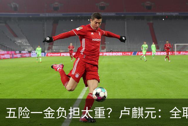 五险一金负担太重？卢麒元：全取消，征房产直接税，经济才会正常