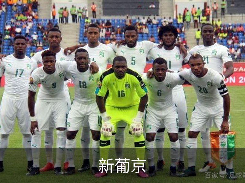 企业简介